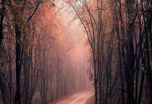 塔什干植树者胜切尔西，决赛在望！——绿茵奇迹，亚洲之光耀欧洲！