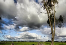 公牛不敌湖人，贾图独揽大半分