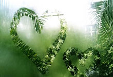 奥地利队表现超预期，欧国联比赛引人注目