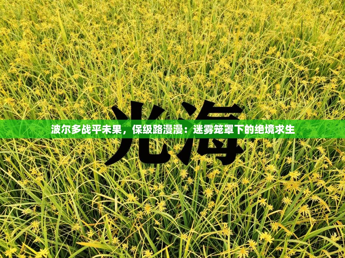 波尔多战平未果,保级路漫漫:迷雾笼罩下的绝境求生 第1张