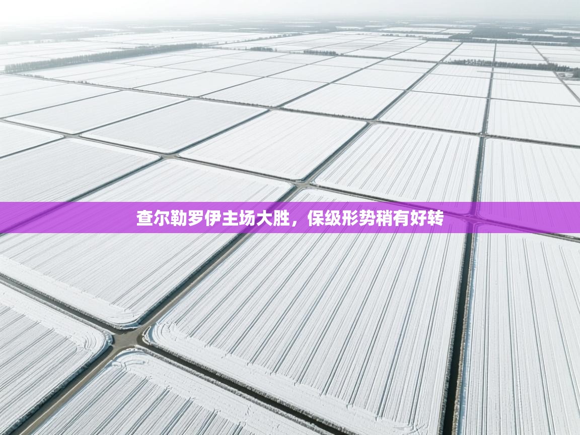 查尔勒罗伊主场大胜，保级形势稍有好转  第1张