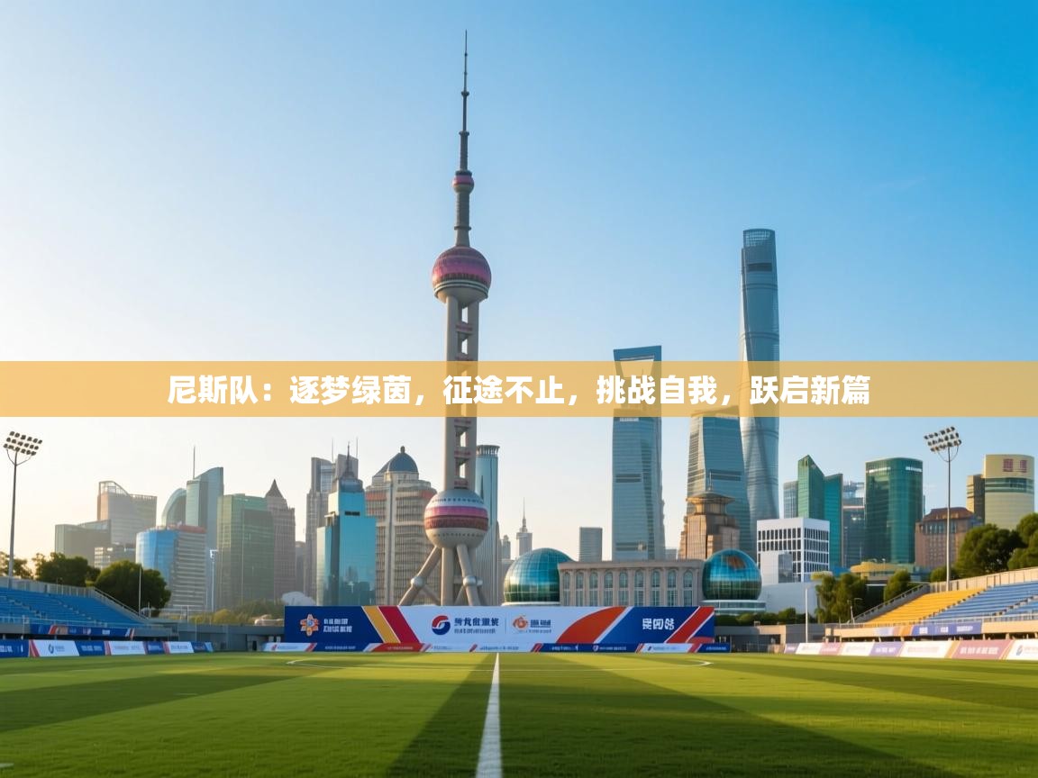 尼斯队：逐梦绿茵，征途不止，挑战自我，跃启新篇  第1张