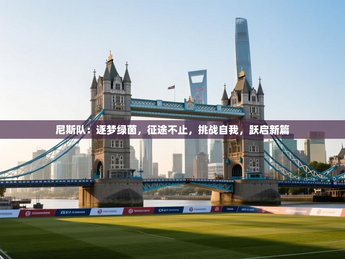 尼斯队：逐梦绿茵，征途不止，挑战自我，跃启新篇  第2张